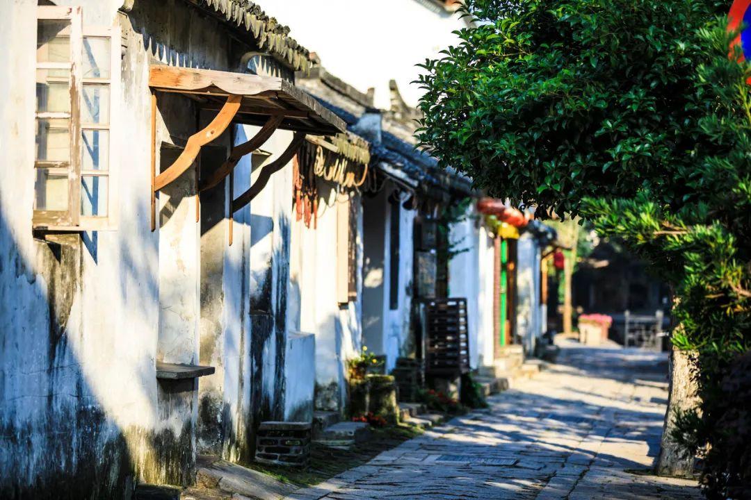“00后上班好像是在cos大人？”哈哈世界是一个巨大的草台班子！